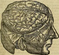 An illustration from The workes of that famous chirurgion Ambrose Parey : (1649)