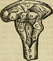 Picture 41 of 336 from The workes of that famous chirurgion Ambrose Parey : (1649), leaf 157