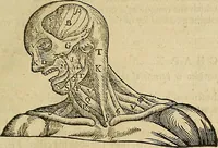 Picture 46 of 336 from The workes of that famous chirurgion Ambrose Parey : (1649), leaf 172