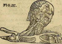 Picture 47 of 336 from The workes of that famous chirurgion Ambrose Parey : (1649), leaf 172