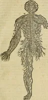 An illustration from The workes of that famous chirurgion Ambrose Parey : (1649)