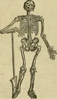 An illustration from The workes of that famous chirurgion Ambrose Parey : (1649)