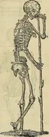An illustration from The workes of that famous chirurgion Ambrose Parey : (1649)