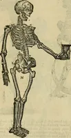 Picture 63 of 336 from The workes of that famous chirurgion Ambrose Parey : (1649), leaf 215