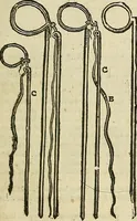 Picture 73 of 336 from The workes of that famous chirurgion Ambrose Parey : (1649), leaf 256