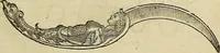 Picture 76 of 336 from The workes of that famous chirurgion Ambrose Parey : (1649), leaf 258