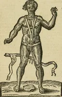 Picture 79 of 336 from The workes of that famous chirurgion Ambrose Parey : (1649), leaf 265