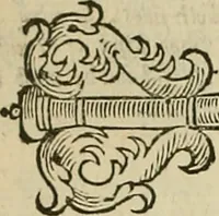 An illustration from The workes of that famous chirurgion Ambrose Parey : (1649)
