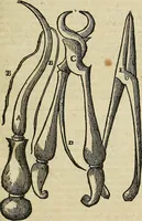 Picture 82 of 336 from The workes of that famous chirurgion Ambrose Parey : (1649), leaf 268