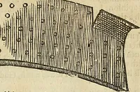 An illustration from The workes of that famous chirurgion Ambrose Parey : (1649)