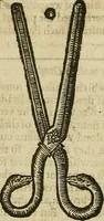 An illustration from The workes of that famous chirurgion Ambrose Parey : (1649)
