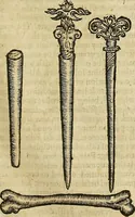 An illustration from The workes of that famous chirurgion Ambrose Parey : (1649)