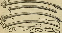 Picture 129 of 336 from The workes of that famous chirurgion Ambrose Parey : (1649), leaf 381