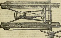 Picture 132 of 336 from The workes of that famous chirurgion Ambrose Parey : (1649), leaf 396