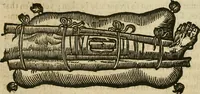Picture 133 of 336 from The workes of that famous chirurgion Ambrose Parey : (1649), leaf 399