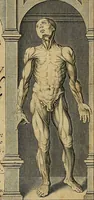 Picture 2 of 336 from The workes of that famous chirurgion Ambrose Parey : (1649), leaf 4