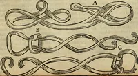 Picture 135 of 336 from The workes of that famous chirurgion Ambrose Parey : (1649), leaf 407