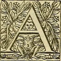 Picture 155 of 336 from The workes of that famous chirurgion Ambrose Parey : (1649), leaf 434