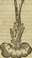 Picture 162 of 336 from The workes of that famous chirurgion Ambrose Parey : (1649), leaf 453