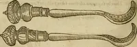 Picture 168 of 336 from The workes of that famous chirurgion Ambrose Parey : (1649), leaf 461