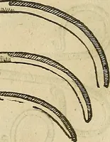 An illustration from The workes of that famous chirurgion Ambrose Parey : (1649)