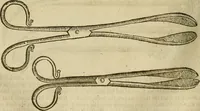 Picture 173 of 336 from The workes of that famous chirurgion Ambrose Parey : (1649), leaf 463
