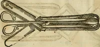 An illustration from The workes of that famous chirurgion Ambrose Parey : (1649)