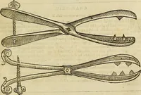 Picture 180 of 336 from The workes of that famous chirurgion Ambrose Parey : (1649), leaf 466