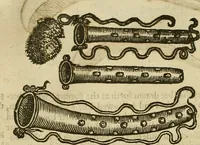 Picture 181 of 336 from The workes of that famous chirurgion Ambrose Parey : (1649), leaf 467