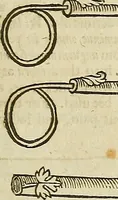 Picture 188 of 336 from The workes of that famous chirurgion Ambrose Parey : (1649), leaf 516
