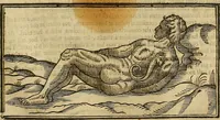 Picture 196 of 336 from The workes of that famous chirurgion Ambrose Parey : (1649), leaf 530