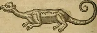 An illustration from The workes of that famous chirurgion Ambrose Parey : (1649)