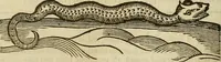 Picture 199 of 336 from The workes of that famous chirurgion Ambrose Parey : (1649), leaf 551