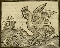 An illustration from The workes of that famous chirurgion Ambrose Parey : (1649)