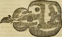 Picture 203 of 336 from The workes of that famous chirurgion Ambrose Parey : (1649), leaf 554