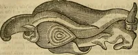 Picture 205 of 336 from The workes of that famous chirurgion Ambrose Parey : (1649), leaf 561