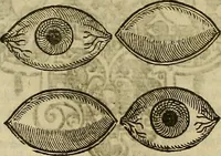 Picture 208 of 336 from The workes of that famous chirurgion Ambrose Parey : (1649), leaf 611
