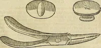 An illustration from The workes of that famous chirurgion Ambrose Parey : (1649)