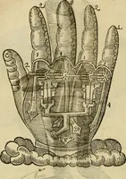 An illustration from The workes of that famous chirurgion Ambrose Parey : (1649)
