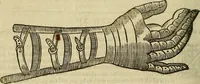 Picture 221 of 336 from The workes of that famous chirurgion Ambrose Parey : (1649), leaf 621