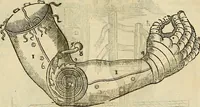 Picture 222 of 336 from The workes of that famous chirurgion Ambrose Parey : (1649), leaf 622