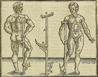Picture 226 of 336 from The workes of that famous chirurgion Ambrose Parey : (1649), leaf 624