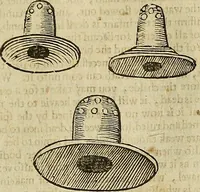 Picture 232 of 336 from The workes of that famous chirurgion Ambrose Parey : (1649), leaf 646