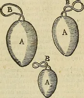 Picture 240 of 336 from The workes of that famous chirurgion Ambrose Parey : (1649), leaf 664