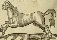 Picture 246 of 336 from The workes of that famous chirurgion Ambrose Parey : (1649), leaf 683