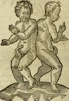 Picture 249 of 336 from The workes of that famous chirurgion Ambrose Parey : (1649), leaf 685