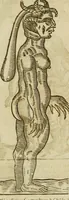 Picture 251 of 336 from The workes of that famous chirurgion Ambrose Parey : (1649), leaf 686