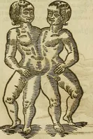 Picture 252 of 336 from The workes of that famous chirurgion Ambrose Parey : (1649), leaf 686