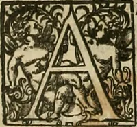 Picture 264 of 336 from The workes of that famous chirurgion Ambrose Parey : (1649), leaf 691