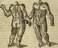 Picture 266 of 336 from The workes of that famous chirurgion Ambrose Parey : (1649), leaf 693